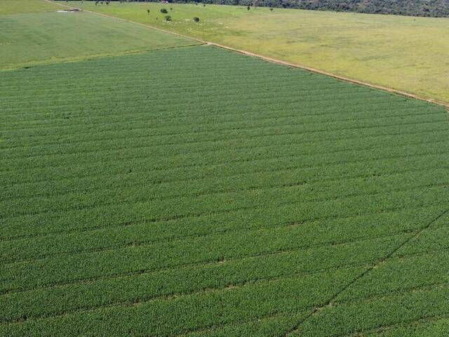 #31 - Fazenda para Venda em Cachoeira do Sul - RS