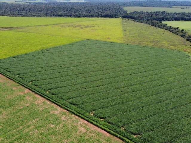 #31 - Fazenda para Venda em Cachoeira do Sul - RS