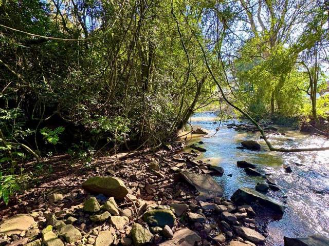 #55 - Chácara para Venda em Brochier - RS